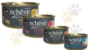 Schesir 🌟