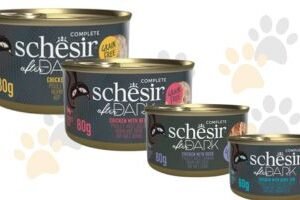 Schesir 🌟