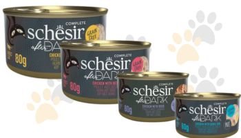 Schesir 🌟