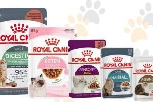 Royal Canin 👑
