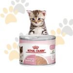 رويال كانين طعام موس للأم والقطط الرضيعة | Royal Canin Mother & Babycat Ultra Soft Mousse - أكل قطط فائقة النعومة (1-4 أشهر)، يدعم الفطام والمناعة