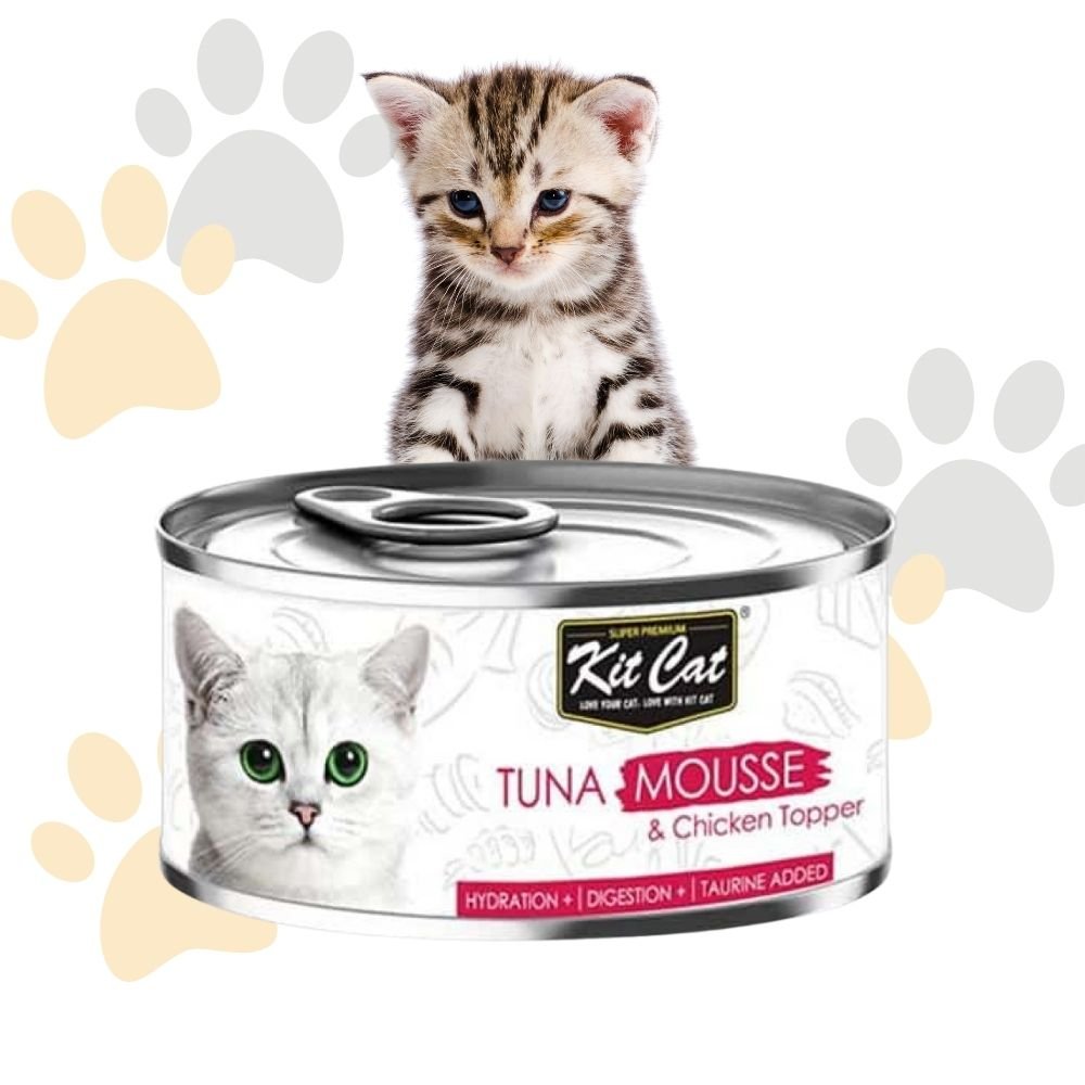 كيت كات موس التونة مع قطع الدجاج | Kit Cat Tuna Mousse & Chicken Topper - طعام قطط رطب، موس ناعم للترطيب والهضم، مدعم بالتورين كيت كات موس التونة مع قطع الدجاج | Kit Cat Tuna Mousse & Chicken Topper - طعام قطط رطب، موس ناعم للترطيب والهضم، مدعم بالتورين