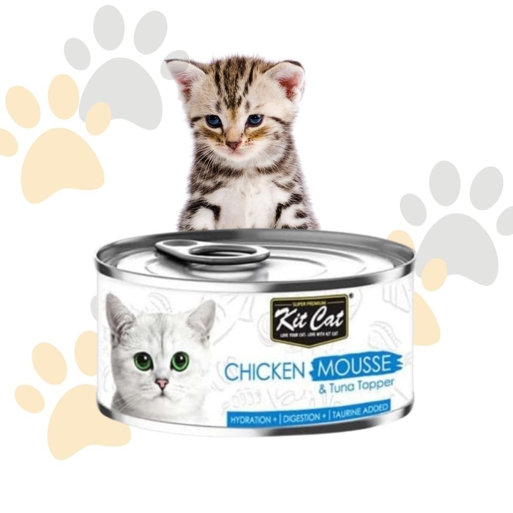 43 كيت كات, Kit Cat, موس, Mousse, دجاج, تونة, Chicken, Tuna, Topper