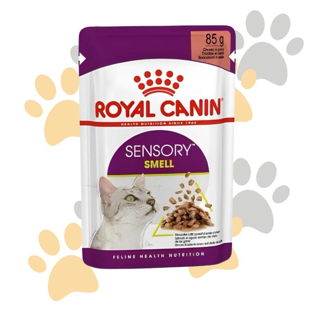 رويال كانين سينسوري سمِل بالمرق | Royal Canin Sensory Smell Gravy Pouch - طعام قطط رطب، يحفز حاسة الشم لدى القطط رويال كانين سينسوري سمِل بالمرق | Royal Canin Sensory Smell Gravy Pouch - طعام قطط رطب، يحفز حاسة الشم لدى القطط